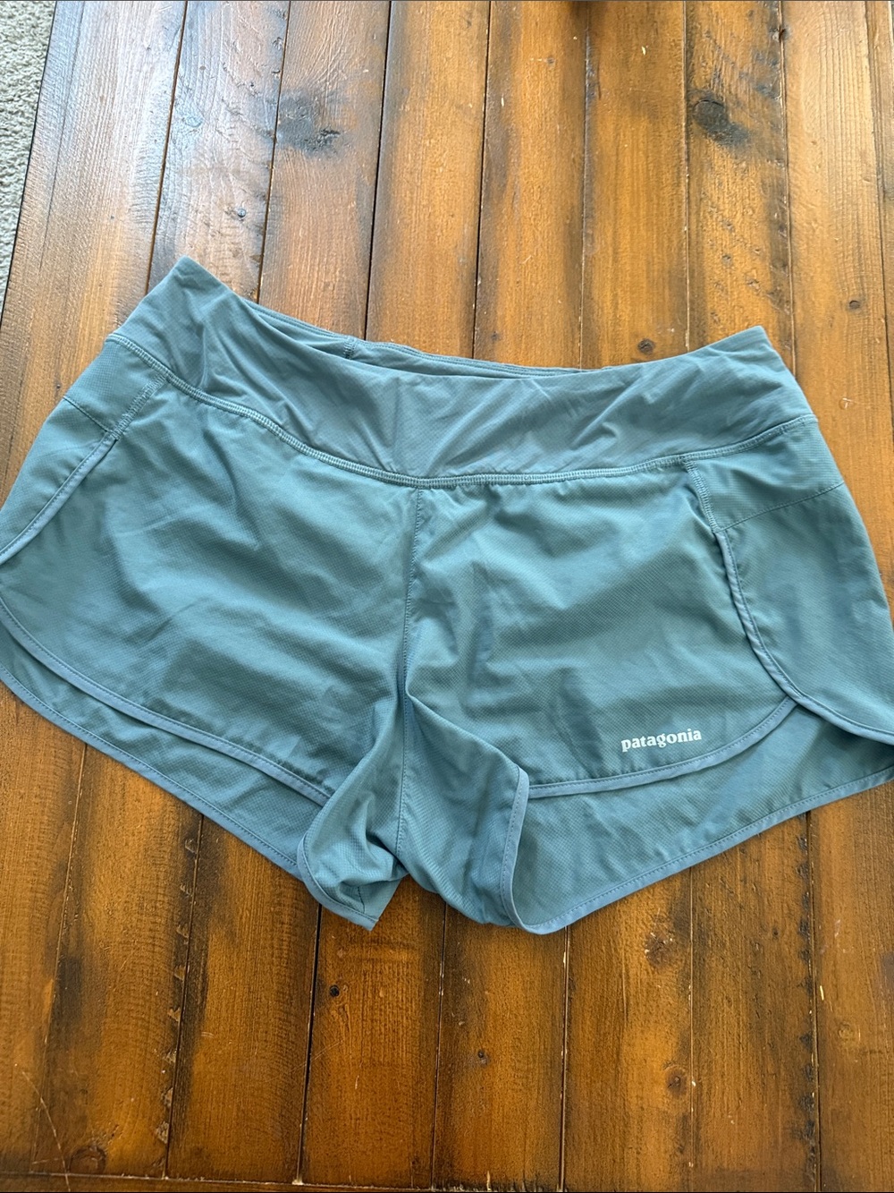 Patagonia Women's Teal Athletic Running Shorts